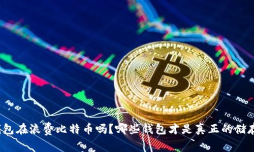 你的钱包在浪费比特币吗？哪些钱包才是真正的储存利器？