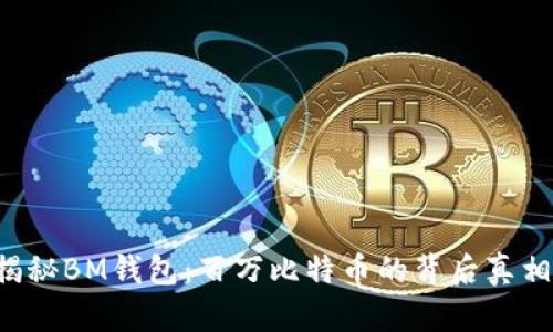 揭秘BM钱包：百万比特币的背后真相！