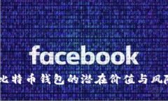 30万比特币钱包的潜在价值与风险分析